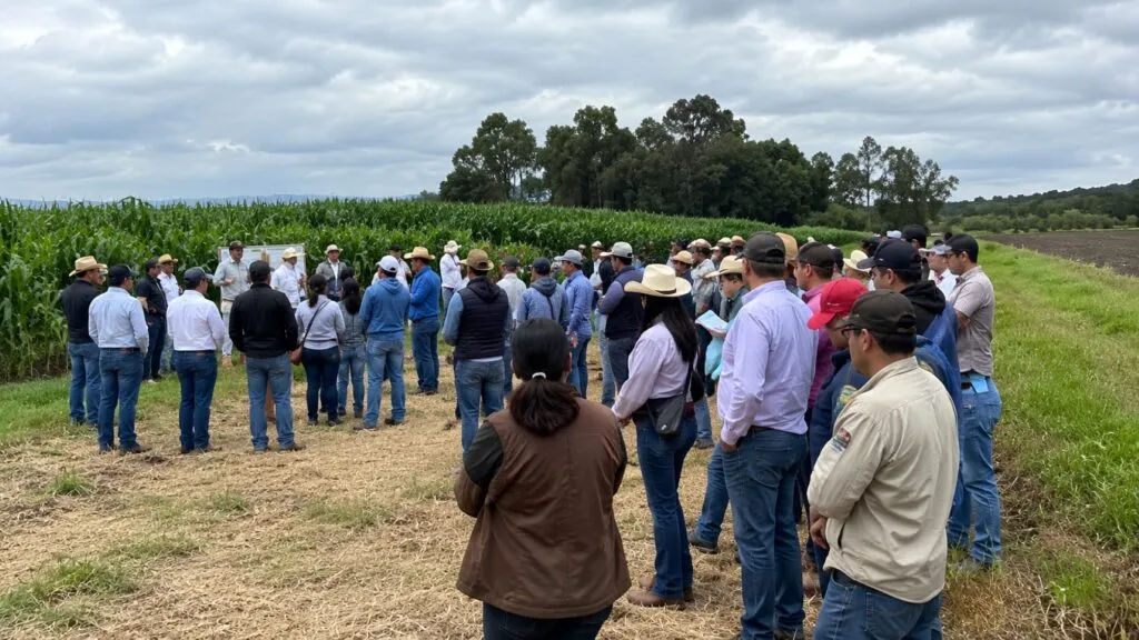 Estudiantes conocen técnicas de manejo sustentable del maíz durante capacitación agrícola del INIFAP