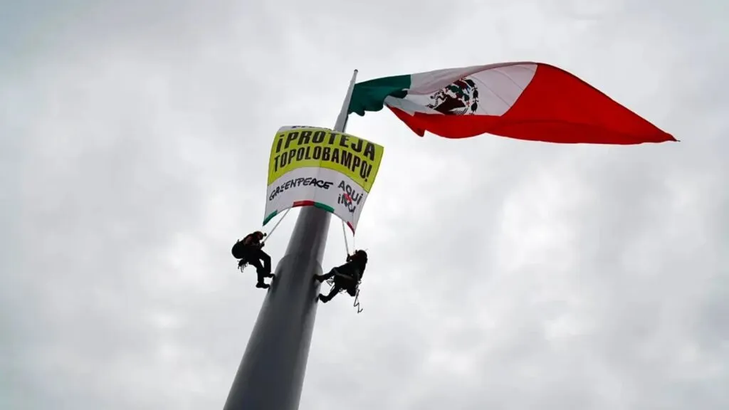 Greenpeace México exige cancelar la planta de amoniaco de Topolobampo