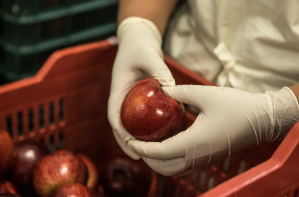 Jack Landsmanas y Corporativo Kosmos promueven sostenibilidad alimentaria mediante proveedores nacionales, reciclaje y reducción de residuos.