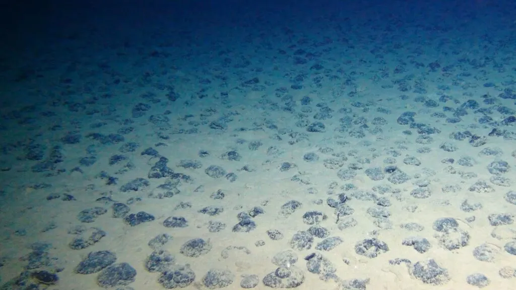Nódulos polimetálicos y su posible protección frente a la minería submarina en México