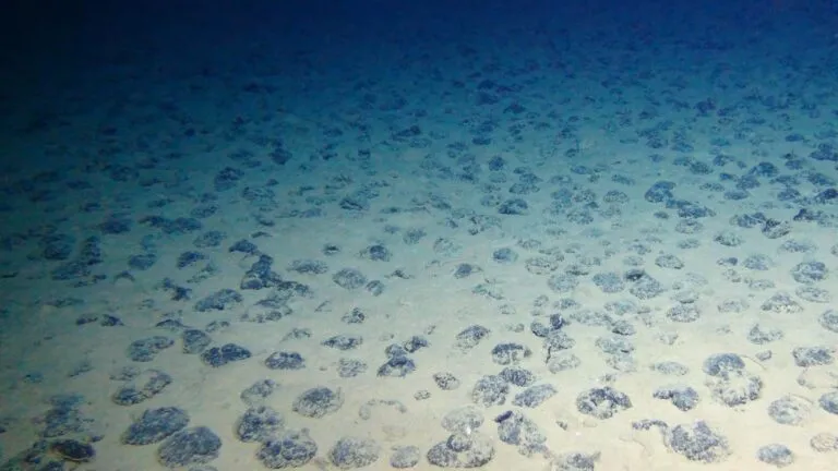 Nódulos polimetálicos y su posible protección frente a la minería submarina en México