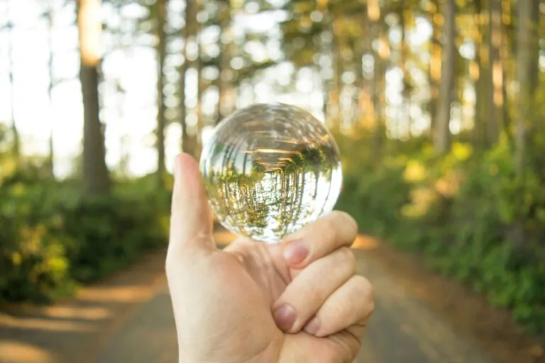 Salud ambiental relaciona el aire limpio, los ecosistemas saludables y el cuidado del planeta con una mejor calidad de vida.