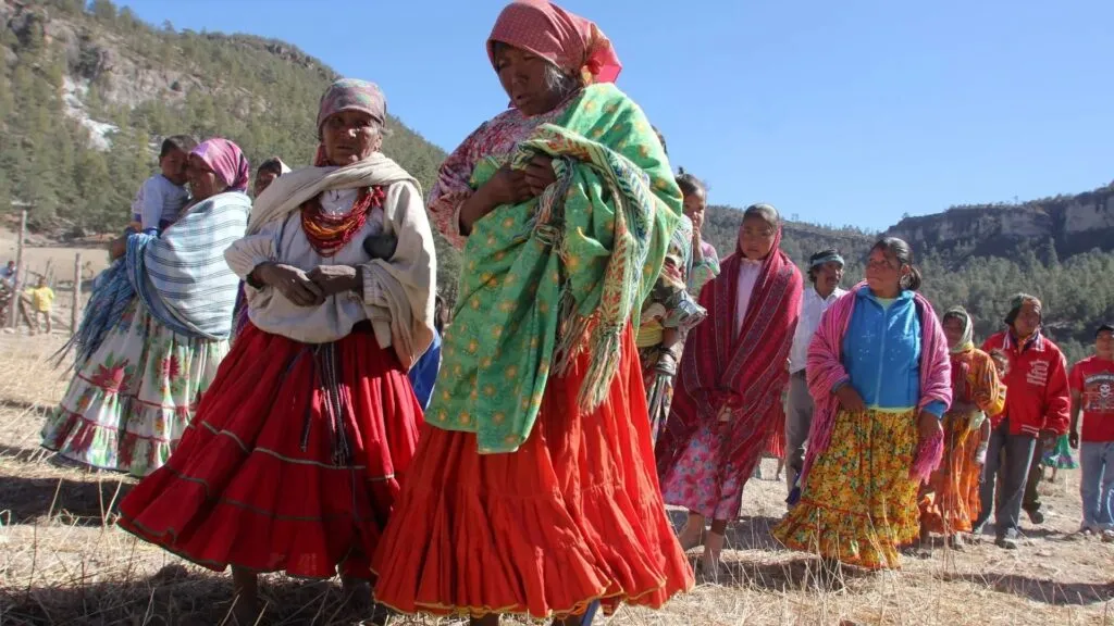 Sierra Tarahumara enfrenta una crisis ambiental, agraria y territorial