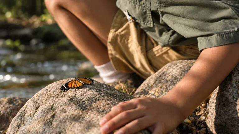 Cuento infantil sobre María la mariposa que enseña a cuidar la naturaleza mediante animales, plantas, música e ilustraciones.