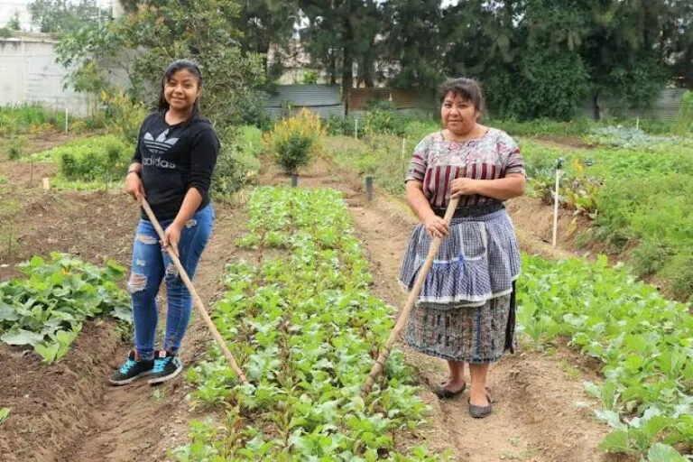 Familia cuidando un huerto y aves de traspatio en una comunidad rural de Yucatán