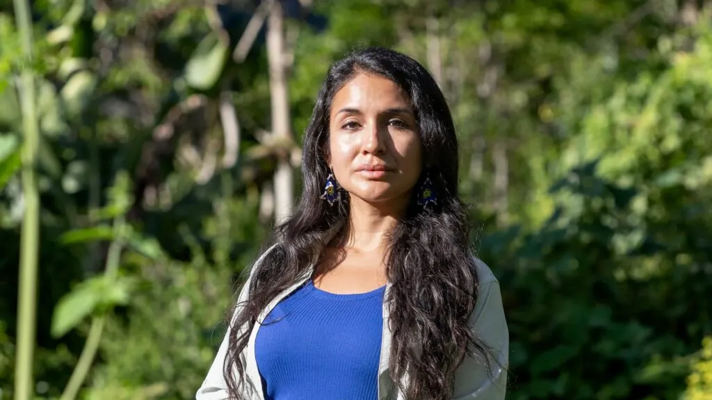 Abejas sin aguijón ayudan a conservar la biodiversidad de la Amazonía junto con comunidades indígenas e investigadores.