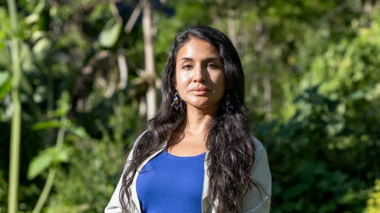 Abejas sin aguijón ayudan a conservar la biodiversidad de la Amazonía junto con comunidades indígenas e investigadores.