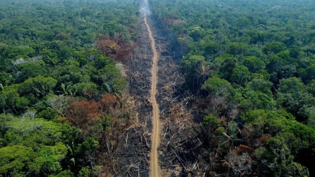Reducción histórica de la deforestación en Brasil y retos para la conservación de la selva amazónica