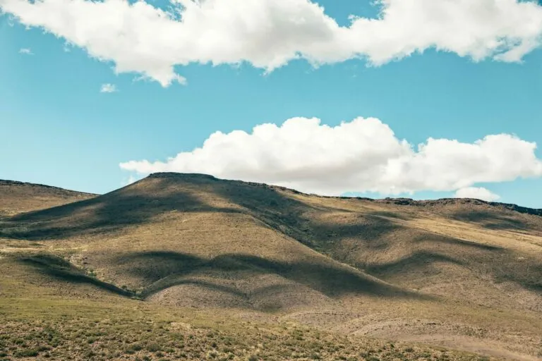 Desierto Florido en Atacama con extensos campos de flores rosadas, moradas y amarillas que aparecen después de las lluvias.