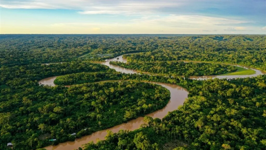 Futuro de la Amazonia ante las elecciones presidenciales de Brasil y las propuestas de conservación ambiental