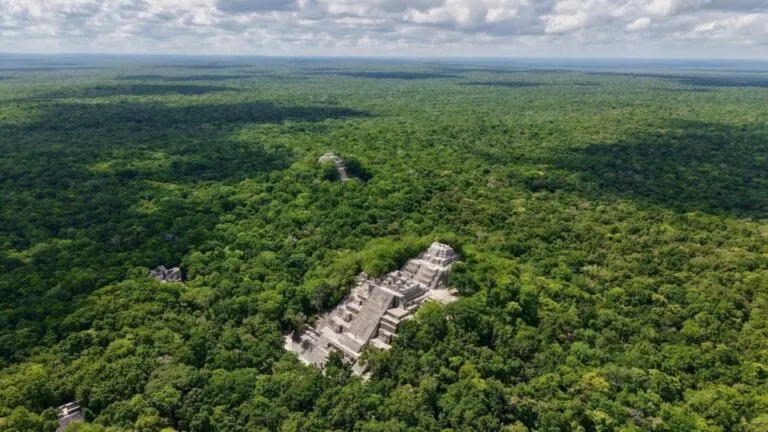 Presentación de la Gran Selva Maya en la COP17 para fortalecer la conservación de la biodiversidad entre México, Guatemala y Belice