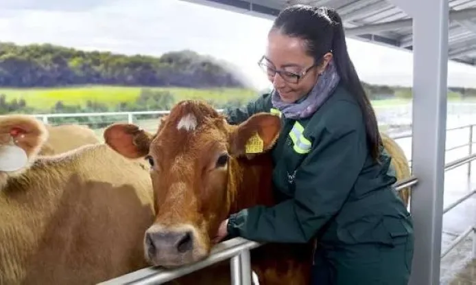 Producción lechera sustentable con vacas en libre pastoreo y prácticas enfocadas en bienestar animal y gestión ambiental en Chile.