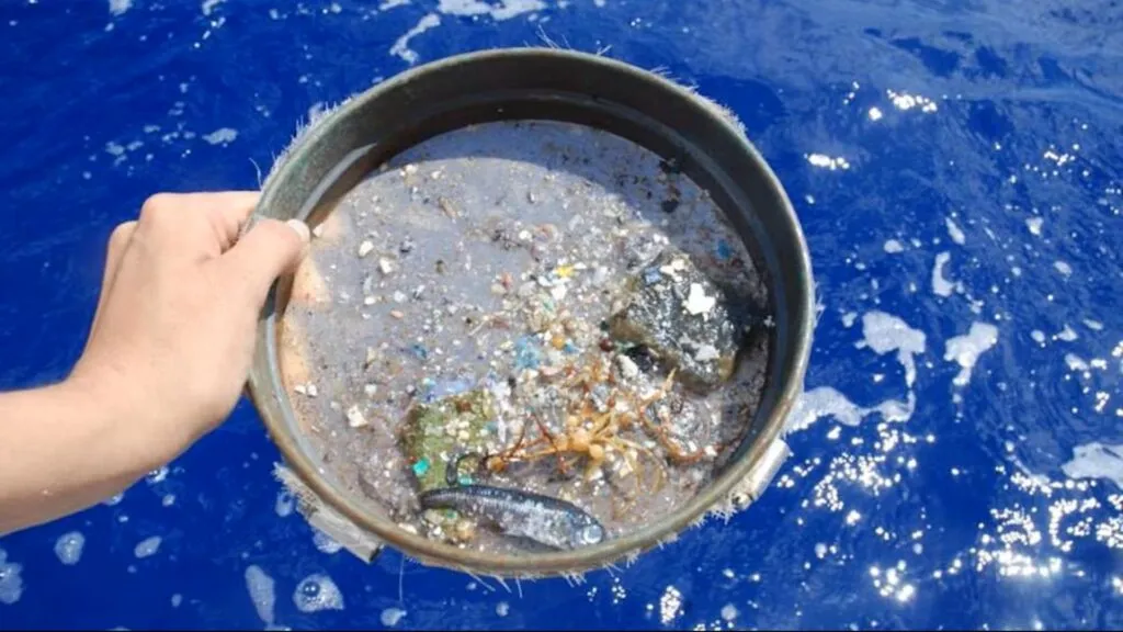Investigación revela que los microplásticos pueden generar moléculas reactivas al entrar en contacto con el agua
