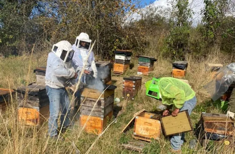 Agricultor trabaja en un cultivo afectado por la sequía y las condiciones climáticas variables en Chile.