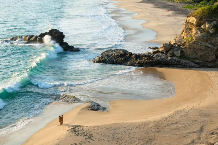 Protección de los ecosistemas costeros de México mediante la conservación de manglares, humedales y zonas naturales cercanas al mar.